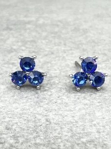 Earrings BLUE LEGEND