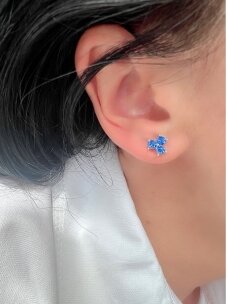 Earrings BLUE LEGEND