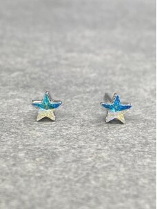 Earrings SHINING STAR