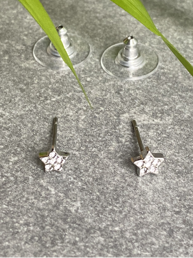 Earrings POLE STAR