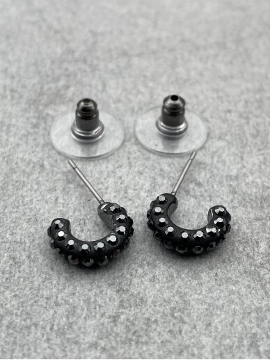 Earrings 1