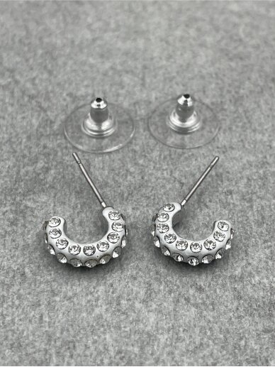 Earrings 1