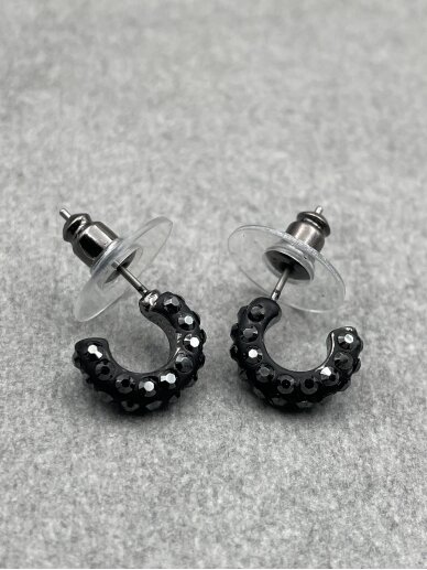 Earrings 2