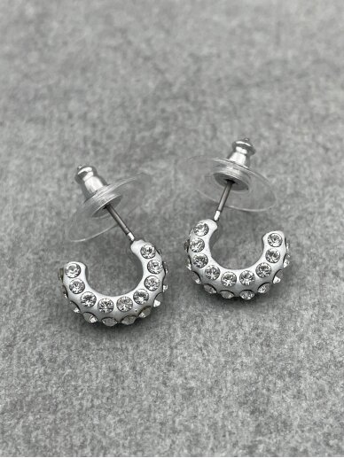 Earrings 2