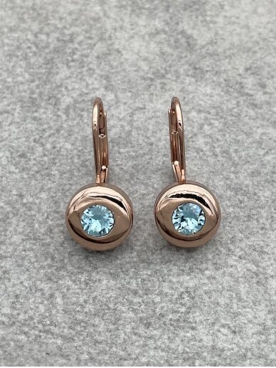 Earrings 1