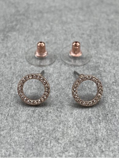 Earrings 1