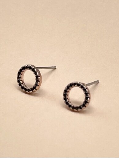 Earrings 1