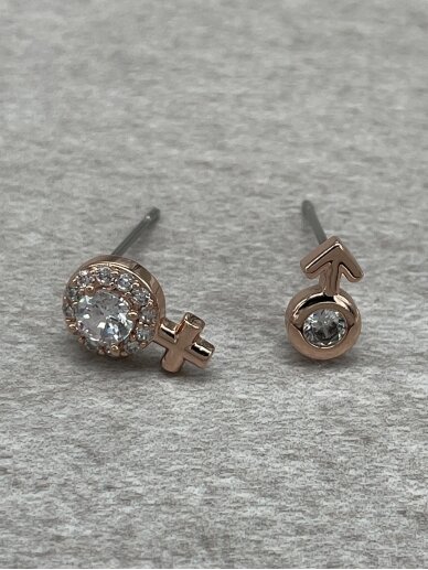 Earrings AMICI 1