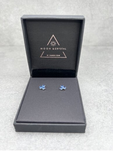 Earrings BLUE LEGEND 6