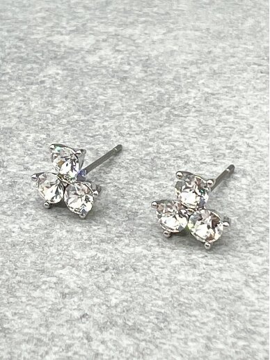 Earrings CHARM CRYSTALS 2