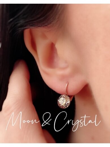 Earrings CRYSTAL TIGER