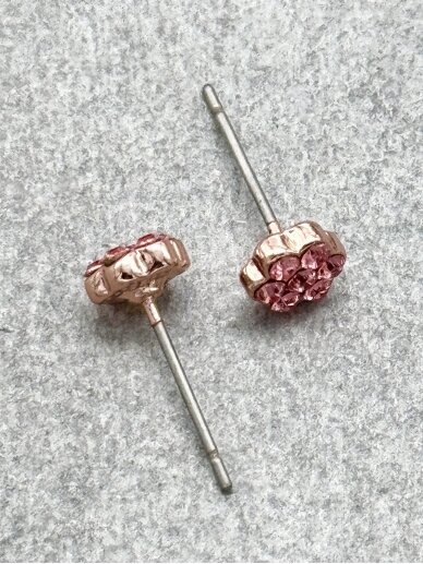 Earrings DELIGHTFUL PINK 1