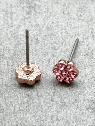 Earrings DELIGHTFUL PINK 2