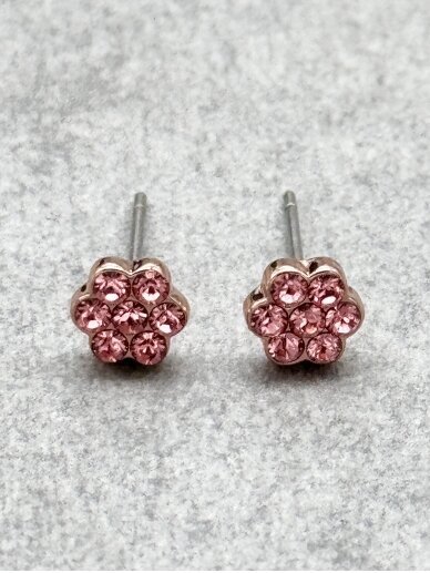 Earrings DELIGHTFUL PINK