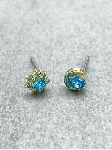 Earrings DELPHINUS STARS 1