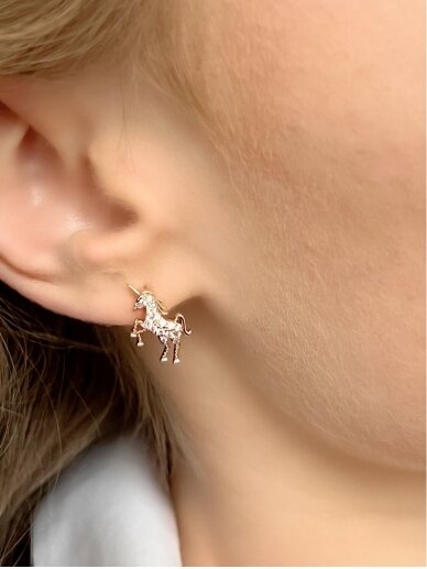 Earrings ENERGY