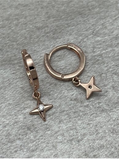 Earrings DAZZLING STAR 2