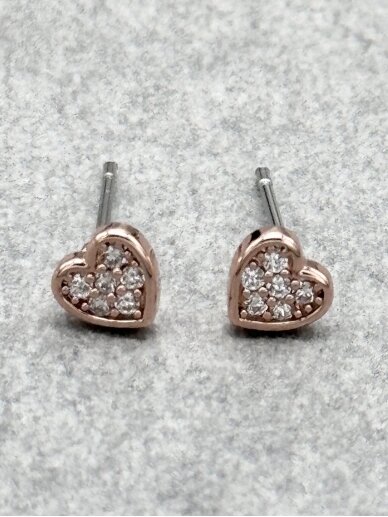 Earrings IN LOVE