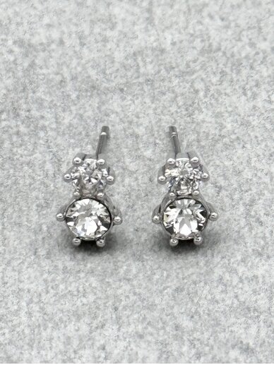 Earrings IN TWO