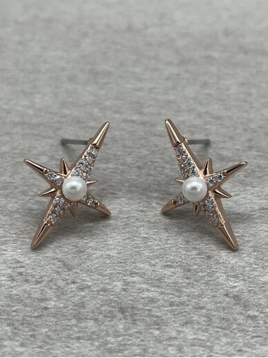 Earrings MORNING STAR 1