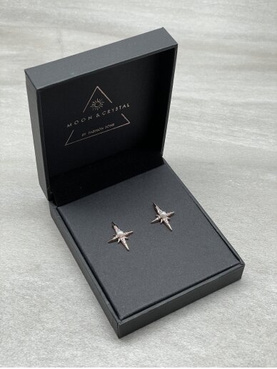 Earrings MORNING STAR 6