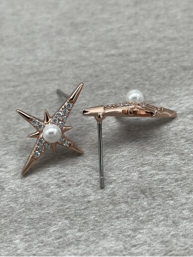 Earrings MORNING STAR 3