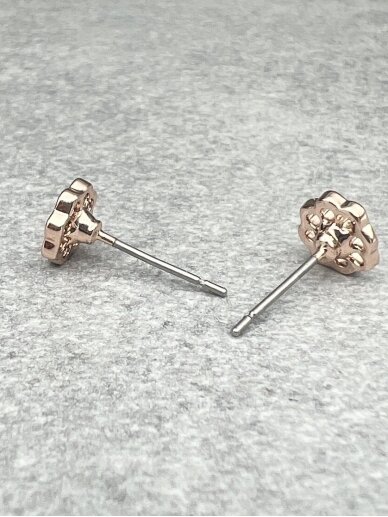 Earrings PINK ME 4