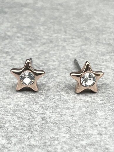 Earrings SECRET STAR 1