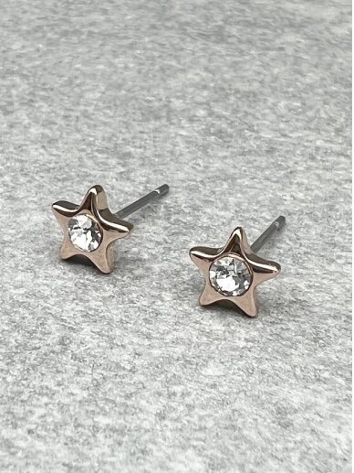 Earrings SECRET STAR 2