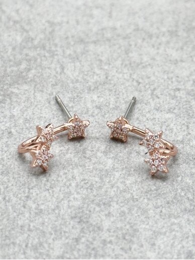 Earrings STARRY SKY