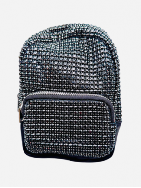 Shiny backpack