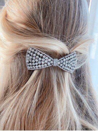 Hair Accessories HONEY 1