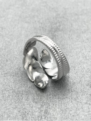 Stainless steel ring 3