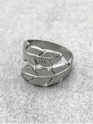 Stainless steel ring