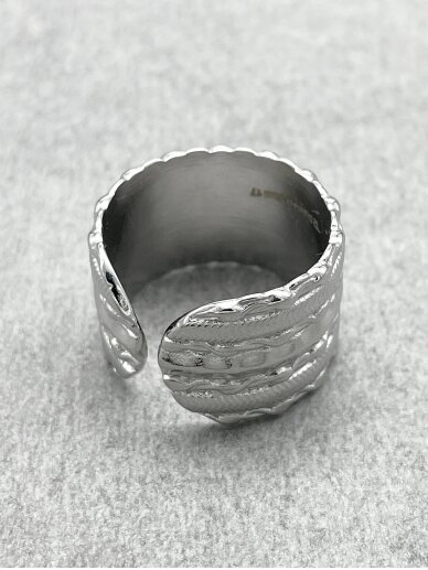 Stainless steel ring 3