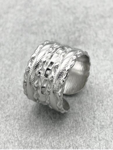 Stainless steel ring 2