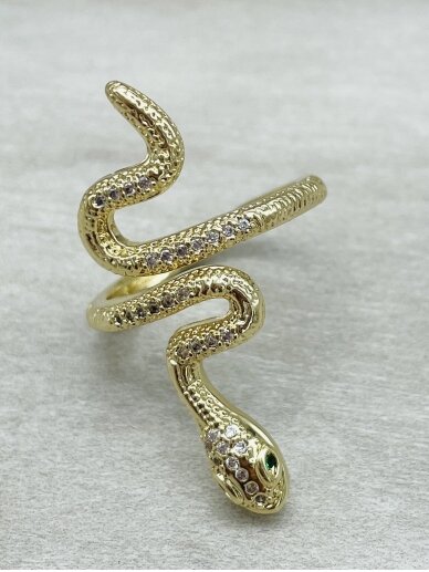 Ring SNAKE